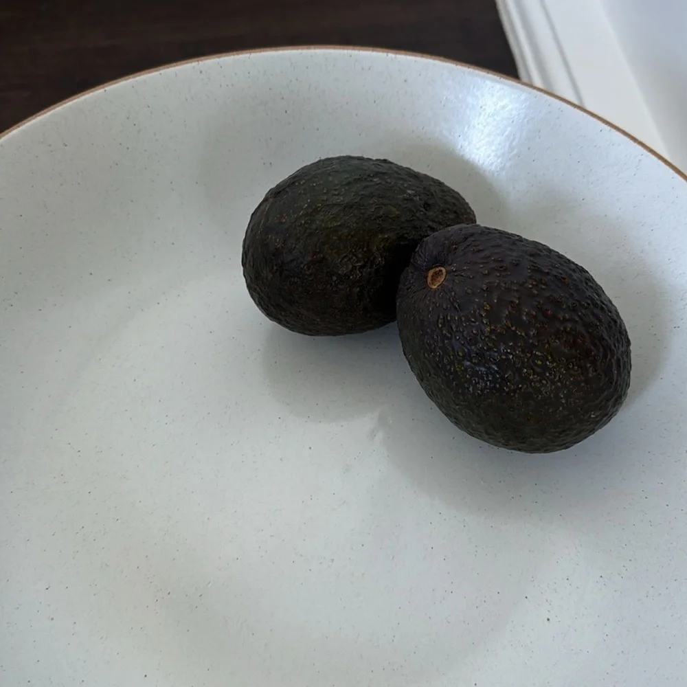 West Elm Stoneware Large Fruit / Serving Bowl